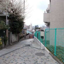 時々眺めに訪れる方がいます。