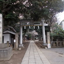 正面の姿です。