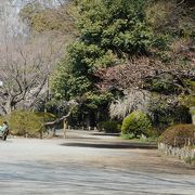 東京２３区内にありながら、癒された感じがした公園でした。