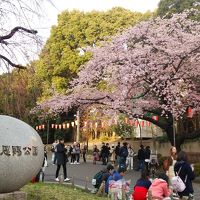 上野恩賜公園