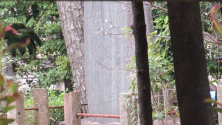 工事区域内で見られませんでした