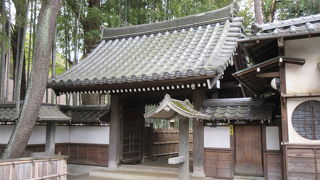 洗足池ほとりです