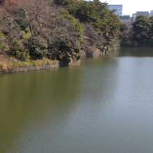 千鳥ヶ淵の中央から、千鳥が淵の皇居側を見ている写真です。
