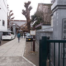 入り口の景観です。