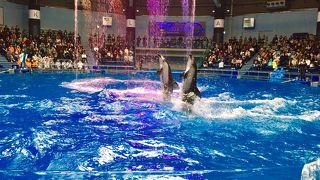 都心でシュノーケリング気分