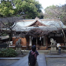 保久良神社の本堂