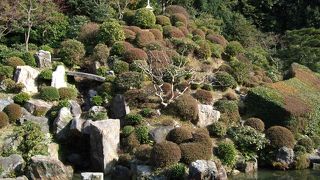 どこに視点を置いて鑑賞したらいいのかはそれぞれですが