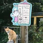 猫がいっぱいの平渓線の駅