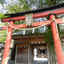 浅間神社の鳥居