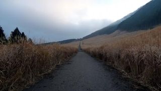 朝の箱根の散歩道　仙石原のススキ平原