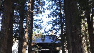 下諏訪ぶらり温泉巡り:慈雲禅寺、武田信玄ゆかりの寺