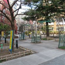 よく手入れされた植木など