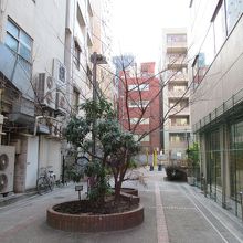 南東側の出入口