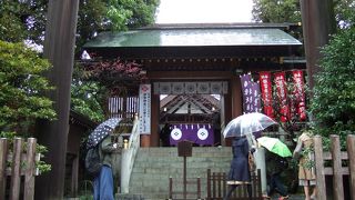 小さいですが賑わっています