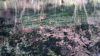 凄く綺麗な水が湧く池 ♪