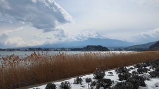 河口湖と富士山が観られる公園 ♪