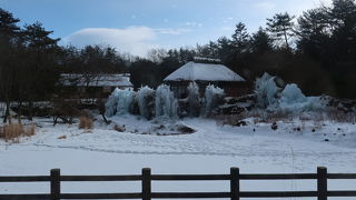 突然現れた氷のお祭り ♪