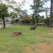 気持ちの良い公園