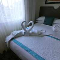 こんなタオルアートで迎えてくれます