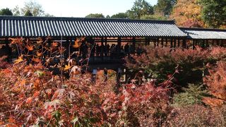 臥雲橋はあくまで渡るもの