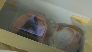 季節ものを購入