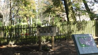 テラスでお茶できました。