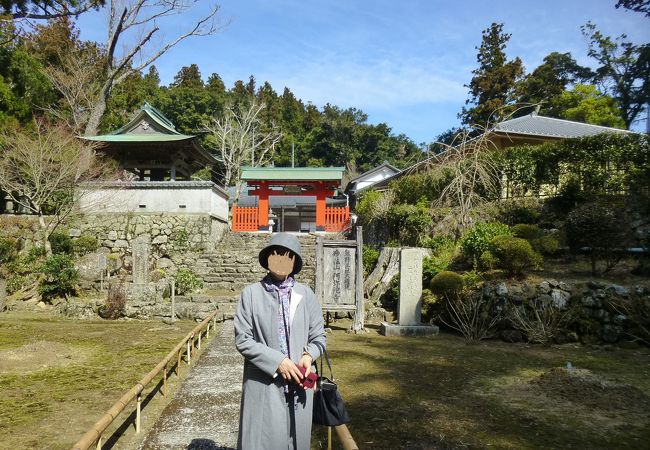 阿弥陀寺がある山です