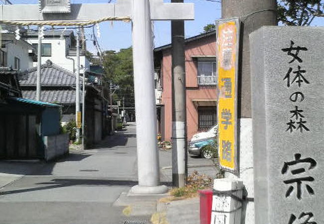 神社内の森が漁をする時の目印になっていたそうです