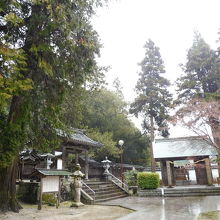 裏山が迫ってます