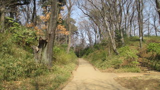 ありゃ、舗装道路？