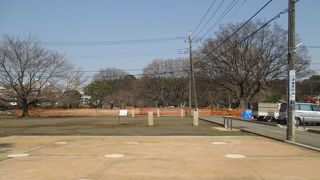 武蔵国の国分寺は大きかったのですね。