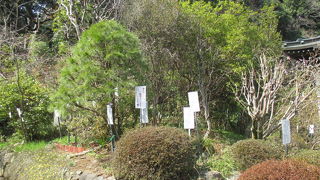 これをおひとりで・・・、大拍手です。