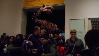 ワクワクするものがいっぱいです