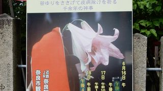 お祭り訪問