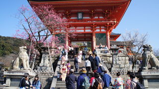 着物姿の観光客でいっぱい