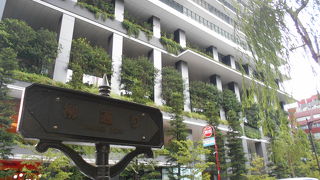 柳がとっても綺麗☆