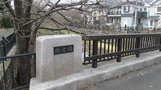 桜の季節はお花見がてらの散歩が楽しめそうです。