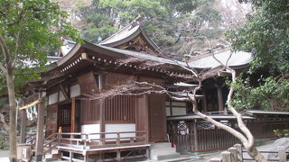 はけの森に包まれています。