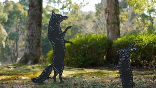 広々とした森のような公園