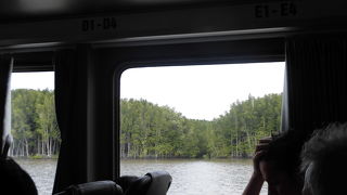 支流はマングローブが密生している