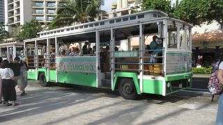 たくさんみかけました