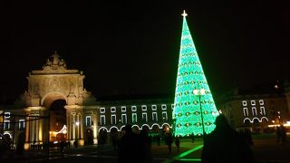 クリスマスシーズンは大きなツリーが現れます