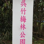 呉竹梅林親水公園の梅林