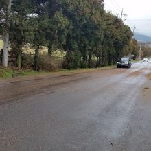 登ってくるみたい