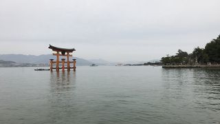 大鳥居の鑑賞スポット