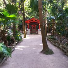 元宮と熱帯雨林