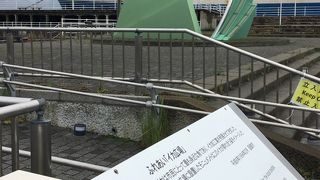 市行って”青函連絡船”の前に広がる「ふれあいイカ広場」～函館～