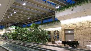 ＪＡＬはこちら