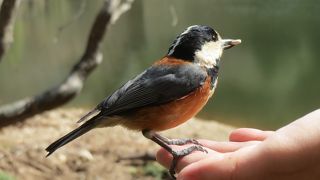 松尾池・萩の滝