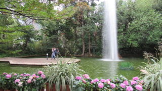 中央付近にある噴水広場が見どころよー